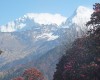 GHOREPANI POONHILL TREKKING- SEE THE BEAUTY AND  NATURE THIS SPRING