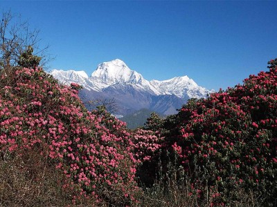 Thinking next vacation to Nepal?