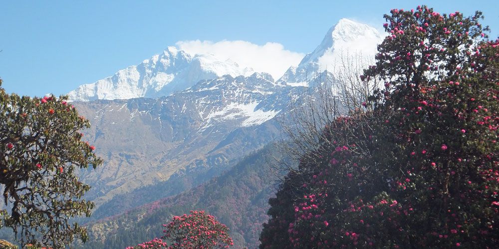 GHOREPANI POONHILL TREKKING- SEE THE BEAUTY AND  NATURE THIS SPRING