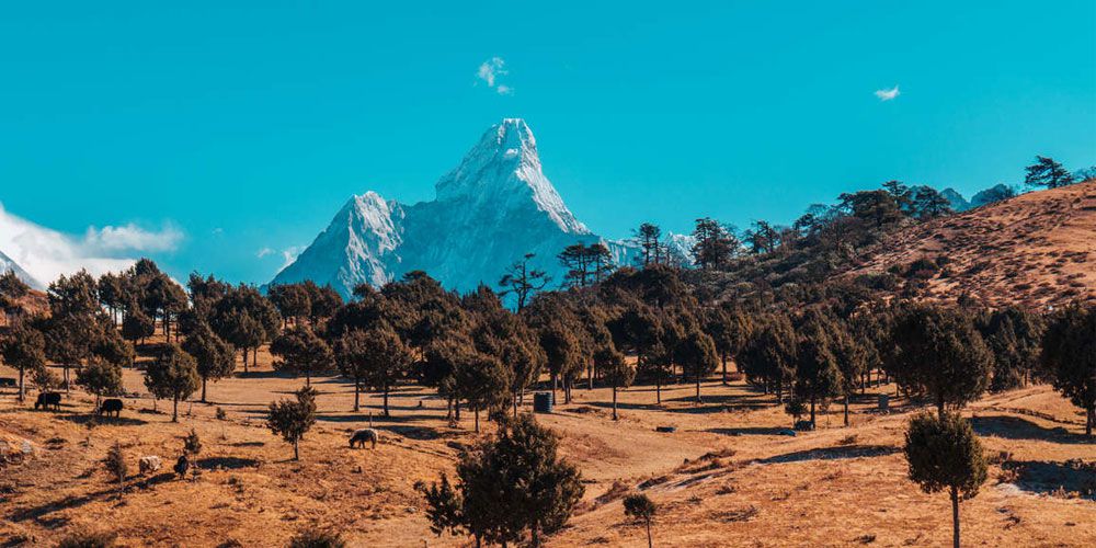 THE ULTIMATE NEPAL TRAVEL GUIDE (MORE THAN MOUNTAINS)