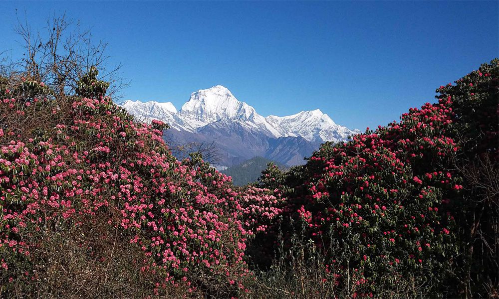 Thinking next vacation to Nepal?