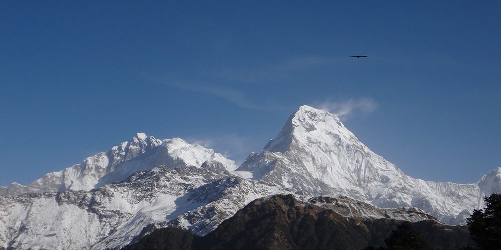 Views from Poon Hill Annapurna South and Baraha Sikhar!