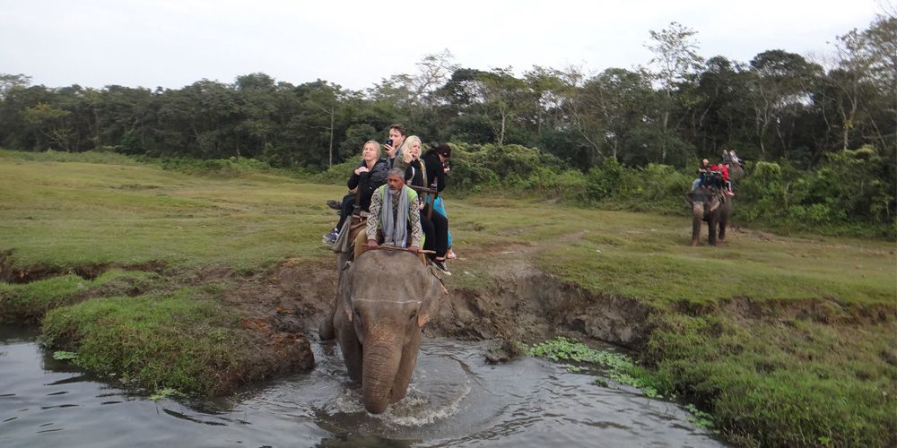 Chitwan  Pokhara Tour