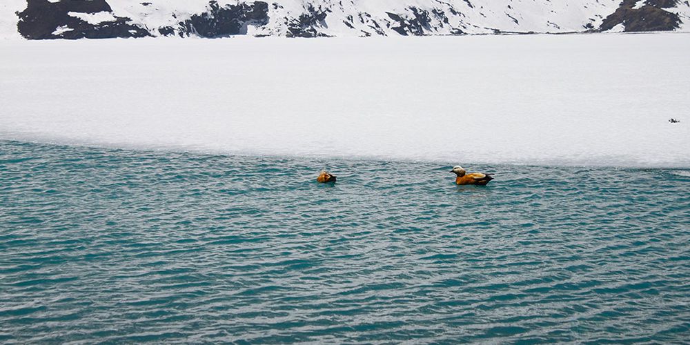 Gokyo Lake Trekking