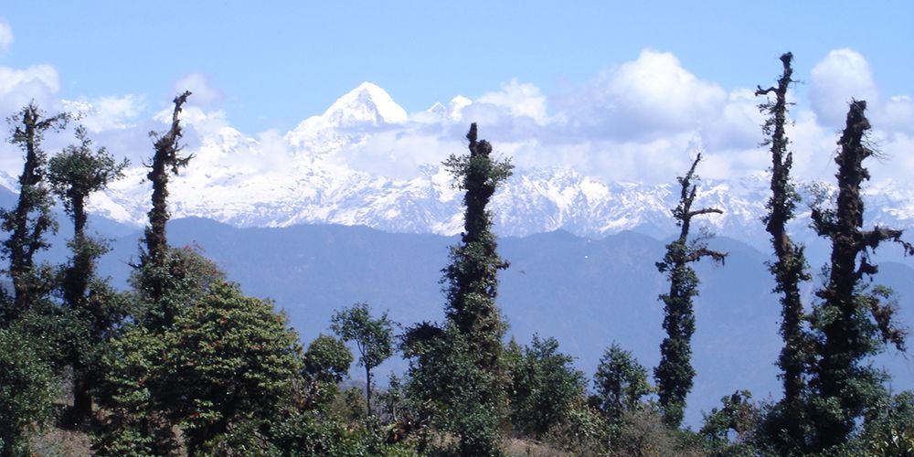 Helambu Trekking