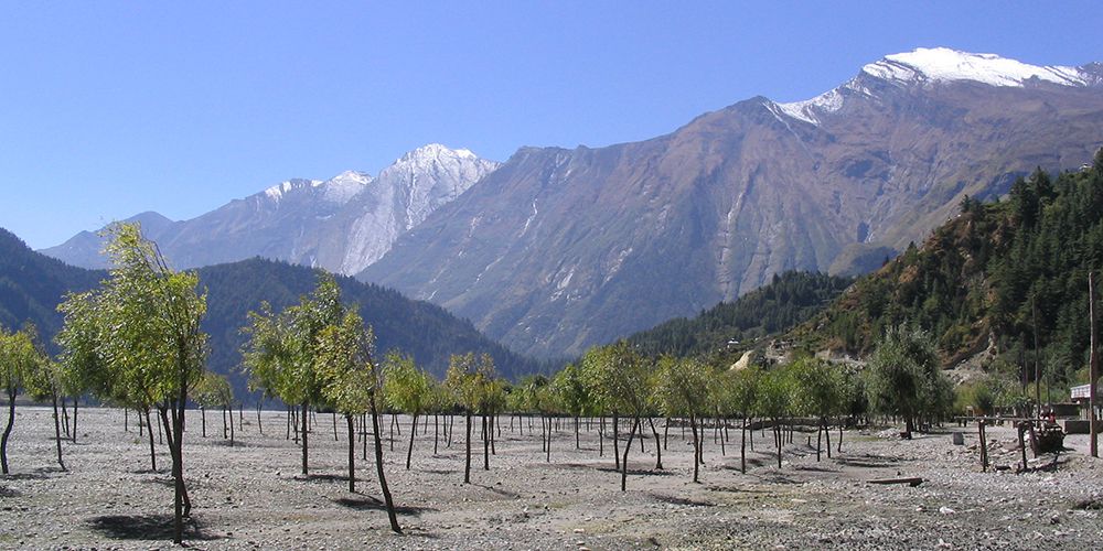 Apple Garden in Kali Gandaki Valley!