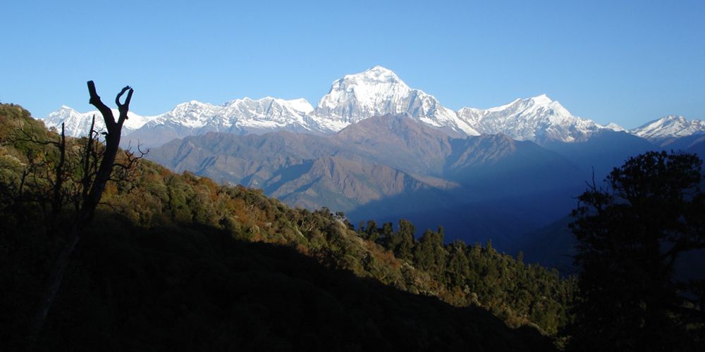 Over Eight Thousand Meter Mountain Dhaulagiri view!