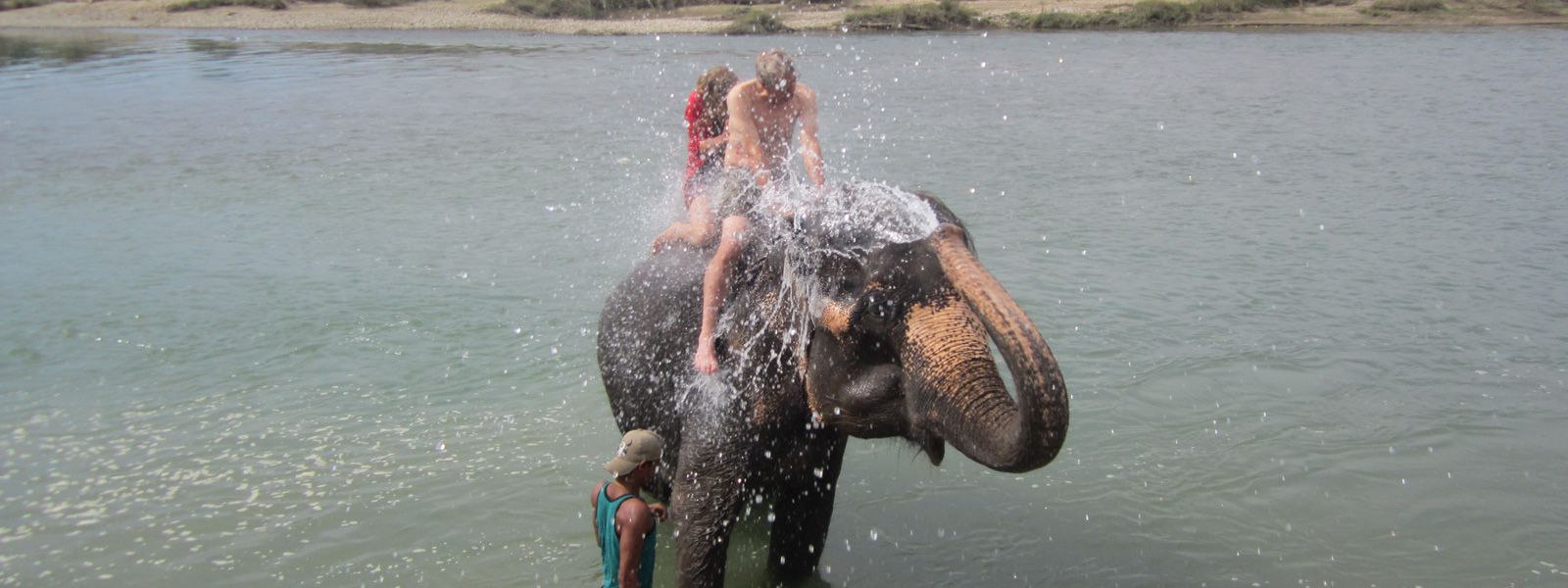 Jungle safari in Nepal