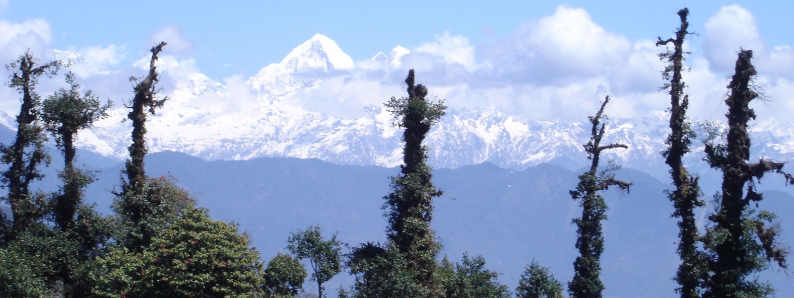 Langtang Trekking